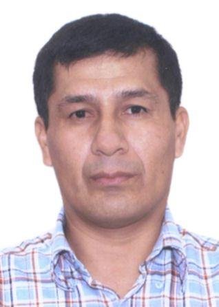 EFFIO PAIRAZAMAN, MARTIN ROLLY
