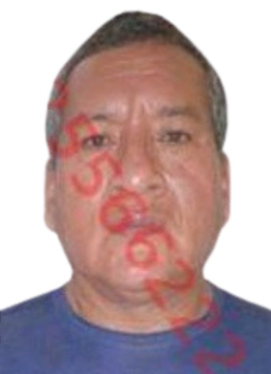 FLORES BARBA, CARLOS ALFONSO