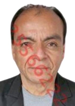 MOGOLLON SICHES, LUIS ENRIQUE