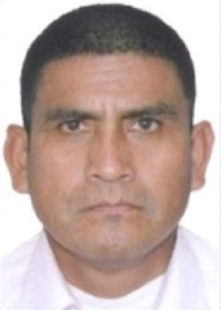 PAIRAZAMAN AMAYA, JAIME LUIS